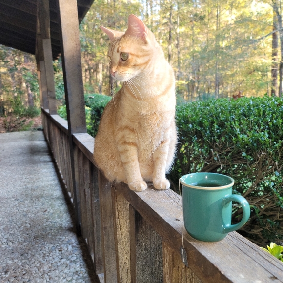 Jacy💘 - Picture 5 of 6